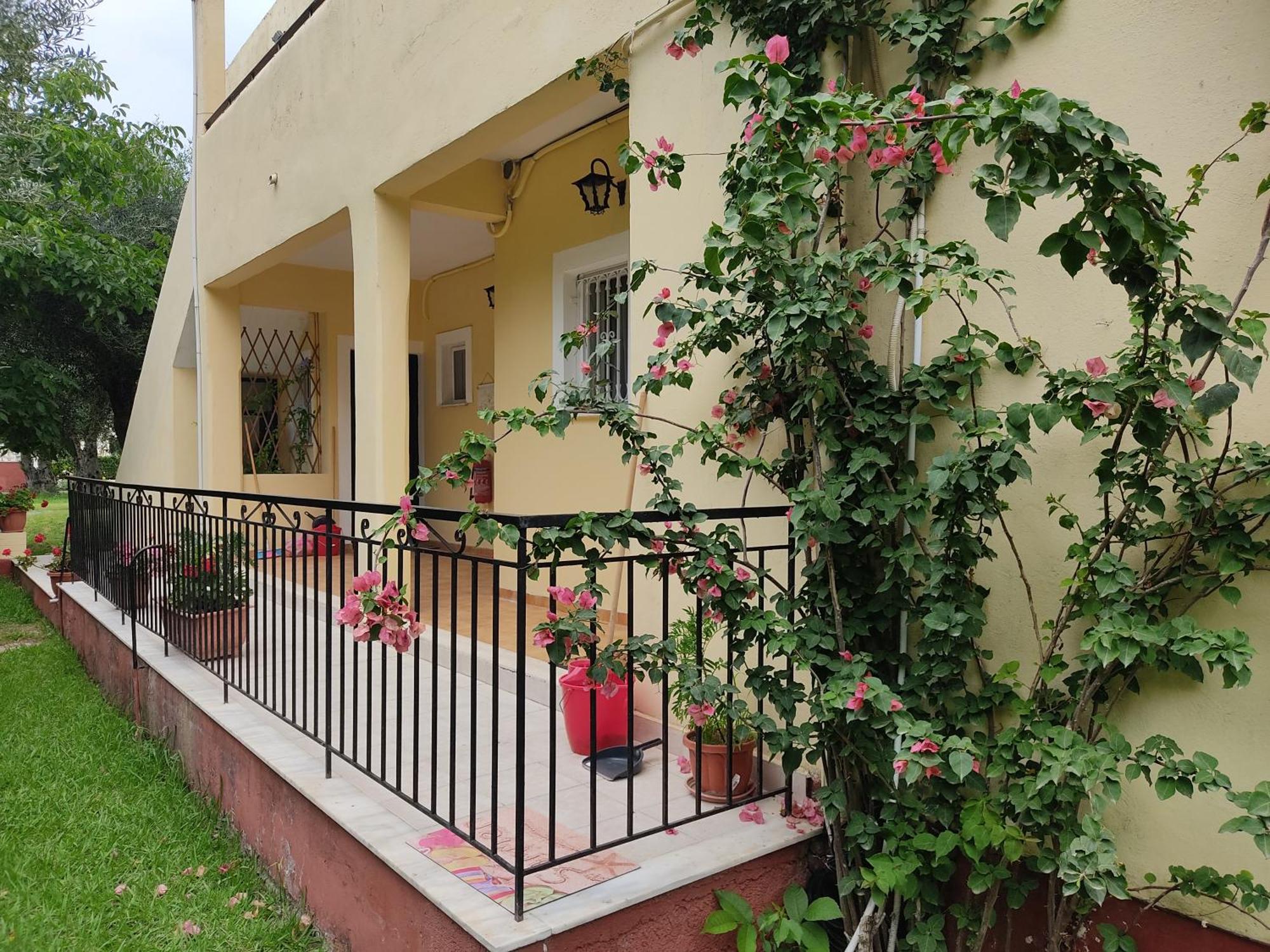 Oliveland Apartments Kávos Exterior foto